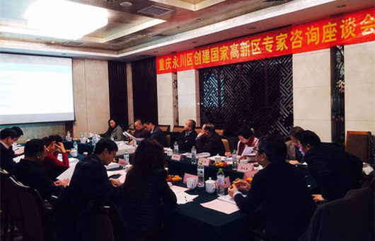 科技部高端智庫專家會診重慶永川創建國家高新區