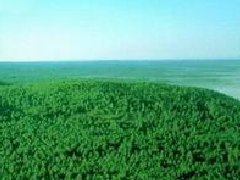 北海經(jīng)濟開發(fā)區(qū)立足鋁產(chǎn)業(yè)集中建成29棟“標準化廠房”