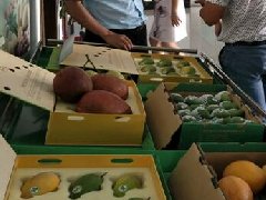 森林生態康養旅游產業規劃