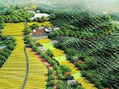 天河“十四五”規劃描繪高質量發展新藍圖