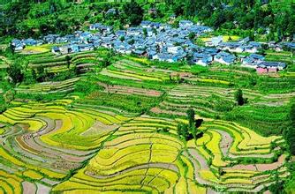 互聯(lián)網(wǎng)+時代下淘寶村發(fā)展與縣域經(jīng)濟關聯(lián)性研究