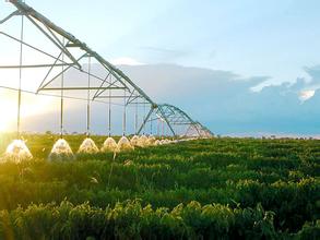 “十三五”我國現(xiàn)代農(nóng)業(yè)發(fā)展趨勢及任務(wù)