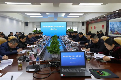 湘雁輸變電產業服務中心在長沙成立，湖南輸變電產業開啟發展新篇章