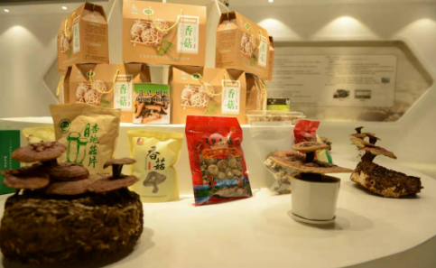 依托蘋果和香菇兩大特色優勢產業，萬榮縣積極申創國家農業現代化示范區